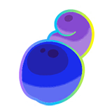 Hyper Shuca Berry &times; 10